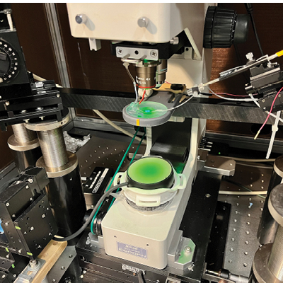 A close-up shot of the team’s experimental rig, which performs fluorescence imaging of voltage responses in in vitro neurons during low intensity focused ultrasound stimulation.