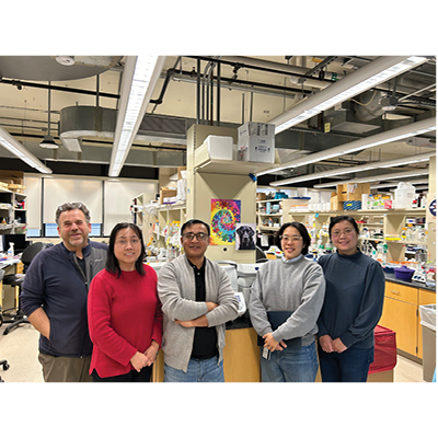 Scientists in the Morrow Lab and the Center for Translational Neuroscience. From left: Eric Morrow, Qing Ouyang, Gajendra Kumar, Eugene Lee and Li Ma.