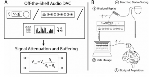 Neurodac diagram