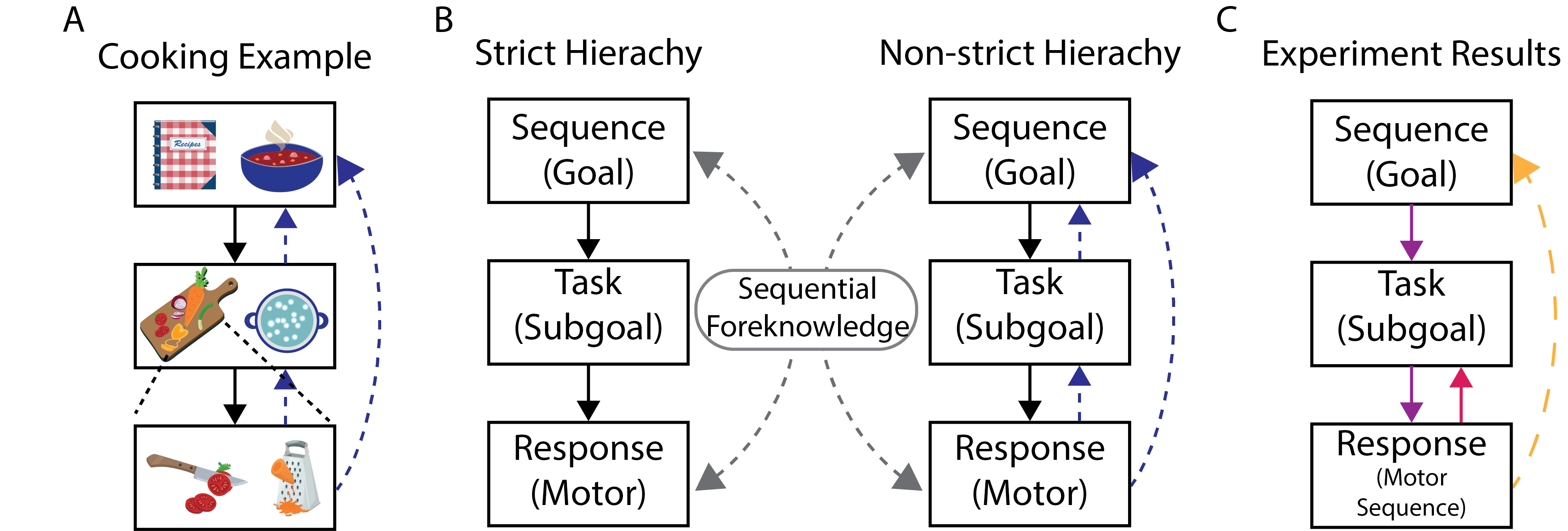 In a new study, Brown researchers found evidence for a strict hierarchical relationship between sequence and task levels and a non-strict hierarchical relationship between task and motor levels. Credit: Desrochers Lab/Brown University