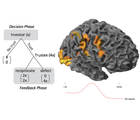 Neural affective mechanisms