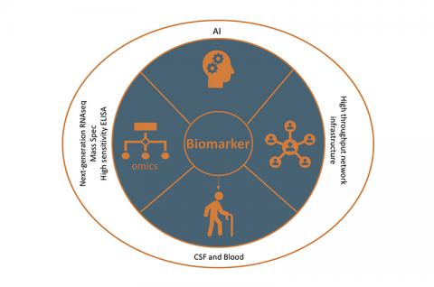 Biomarkers diagram