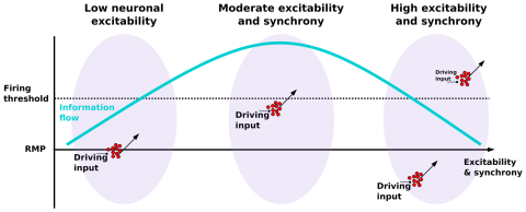 Graph of firing threshold