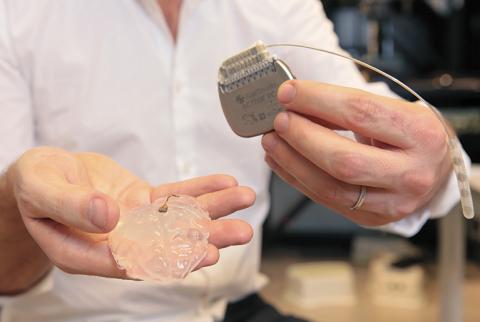 Scientist holding replica of brain